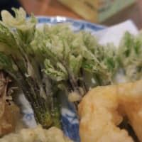 コシアブラ　一番好きな山菜の天ぷら