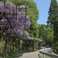 ふじの回廊・つどいの丘・幸田町役場-2