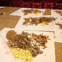 中国の漢方薬局＿同仁堂