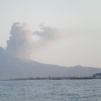 やっぱ海はいいね～