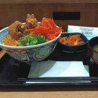 【株主優待】吉野家：から揚げ親子丼、キムチセット（2025年5月）