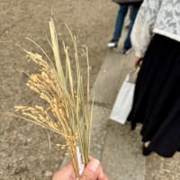 初辰まいり・2025年5月