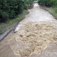 大雨一過後の濁流を見る