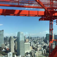 東京タワー 〜トップデッキツアー〜