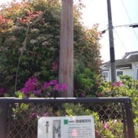 １０年ぶりの大仏鉄道１