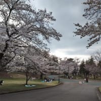 桜咲く春に