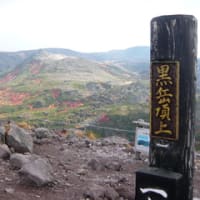 黒岳の紅葉