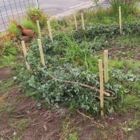 バイオネスト、ほぼ完成^^