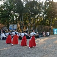 あしたの国 モルゲンランド と子安美智子さん 新 小径あるけば