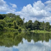 久しぶりの善福寺公園