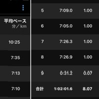 庭木の剪定１時間 & 今日のトレーニング
