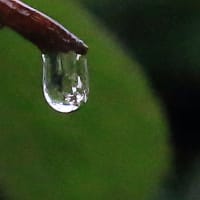 雨滴ー３