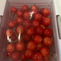 またまたさくらんぼ！！