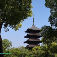【京都幕間旅情】東寺,こうした日常の記録の膨大蓄積が最終的に玉石混交の一助となるのだろうか
