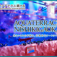 アクアテラス錦ケ丘。