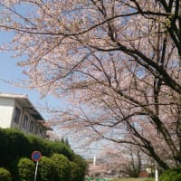 ひさびさ