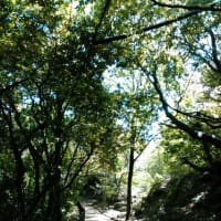 神戸ハーブ園