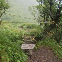 普賢岳新ルート巡視2506