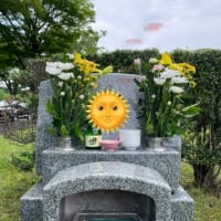 花も夏☀️