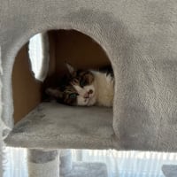 お久しぶりです