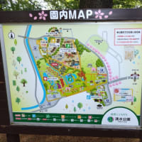 清水公園　ニジマス釣行　６．０７