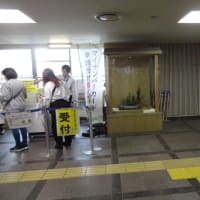 市役所挿花５月１日