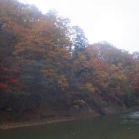 2020秋・アメマス