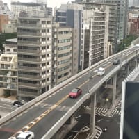 毎日書道展鑑別会…