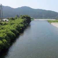 本日の海部川