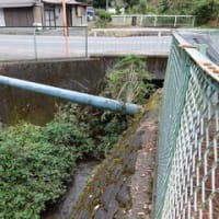 2024神奈川河川ﾎﾟﾀﾘﾝｸﾞ『小鮎川』⑩『小鮎川』ポタリングの上流端の「駒が橋」へ