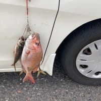 もうすぐ引っ越します