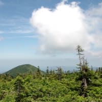 ２０２５年７月９日　北八甲田　田茂萢岳のようす