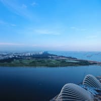 View from SKYPARK - II