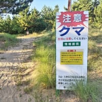 鳥取砂丘にもクマが？！