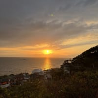 5月のスケジュールです