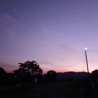 秋の気配と蝉の声
