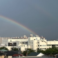 3日目にして虹を見た