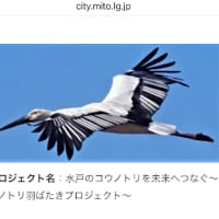 いつものlineで