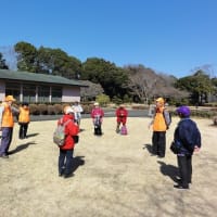 観梅ウォーク（大心苑）＜３月１日（土）＞
