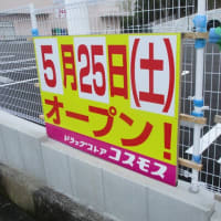 5・25鵜方にコスモス【ドラックストア】鵜方小向井店オープン
