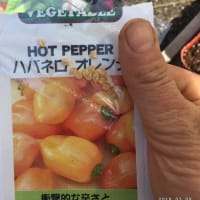 ハバネロー！