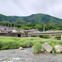 【釣】解禁2日目は叩かれ済でムズい状況　（2025/06/02　鮎　笹子川）