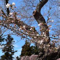 岩谷堂城跡を歩く