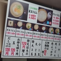 2025年帰省旅（6日目）父母ヶ浜～麺通堂（讃岐うどん）