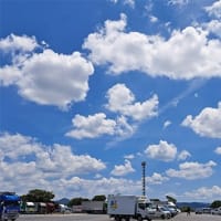 ３６度なら涼しい？！