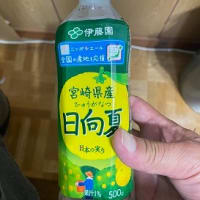 日向夏について