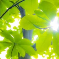 別れがこんなに悲しいのは、幸せだったから