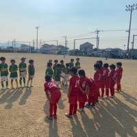 土日総括