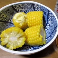 早朝の生け垣剪定