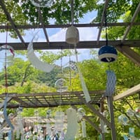 満願寺まで吹かれて｡｡